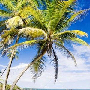 Meet your Posher, Lydia